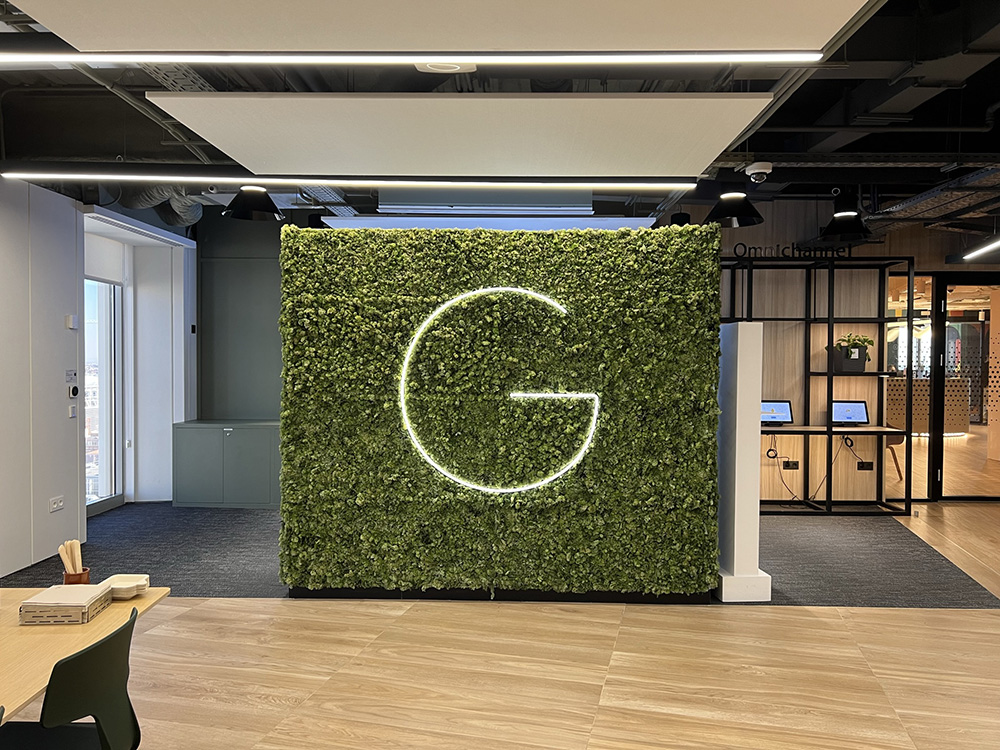 Google Offices.jpeg 