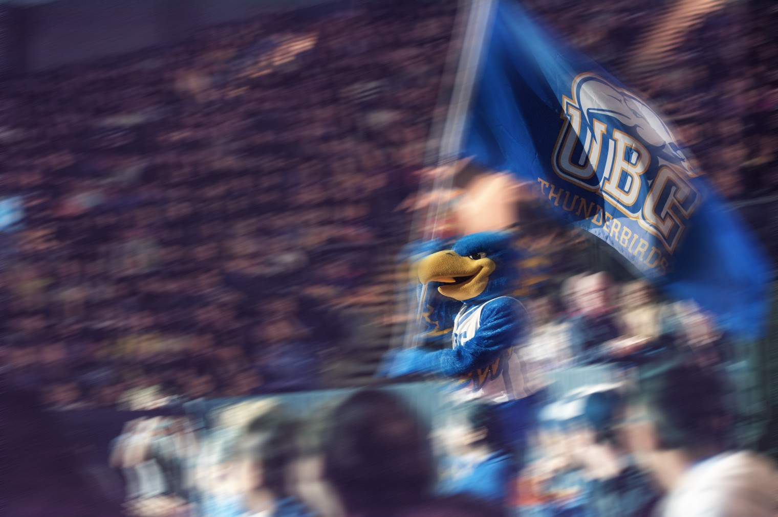 UBC Varsity Thunderbird mascot runs through crowd waving team flag