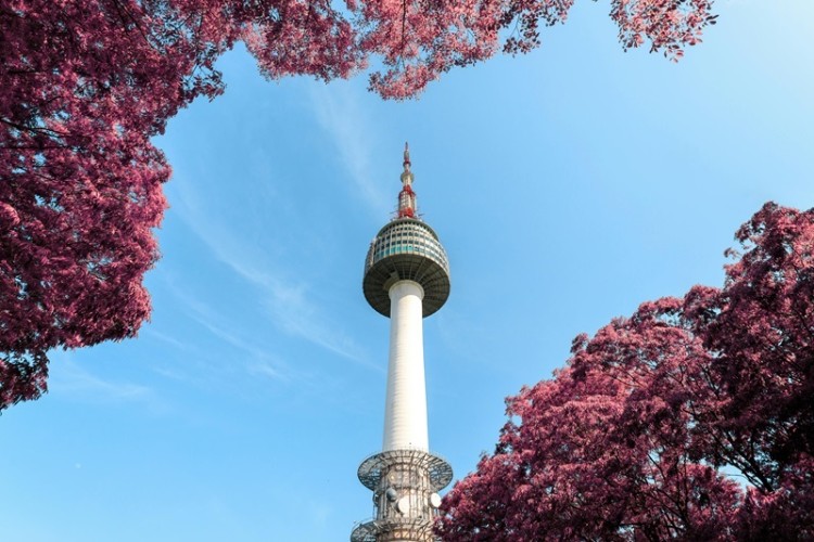 Seoul N Tower