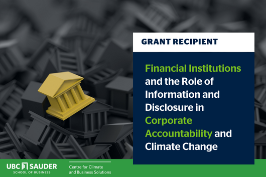 Financial Institutions and the Role of Information and Disclosure in Corporate Accountability and Climate Change