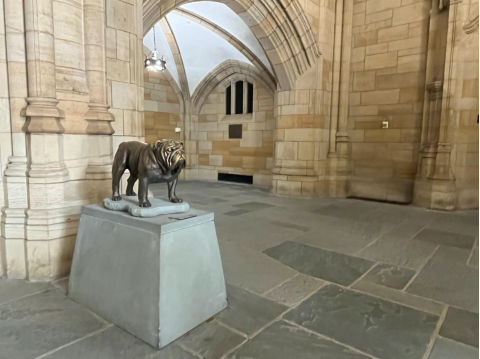 A statue of Handsome Dan the Bulldog inside Payne Whitney Gymnasium.